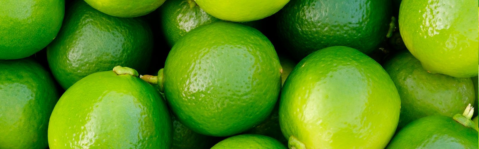 Limões tahiti verdes vistos de perto